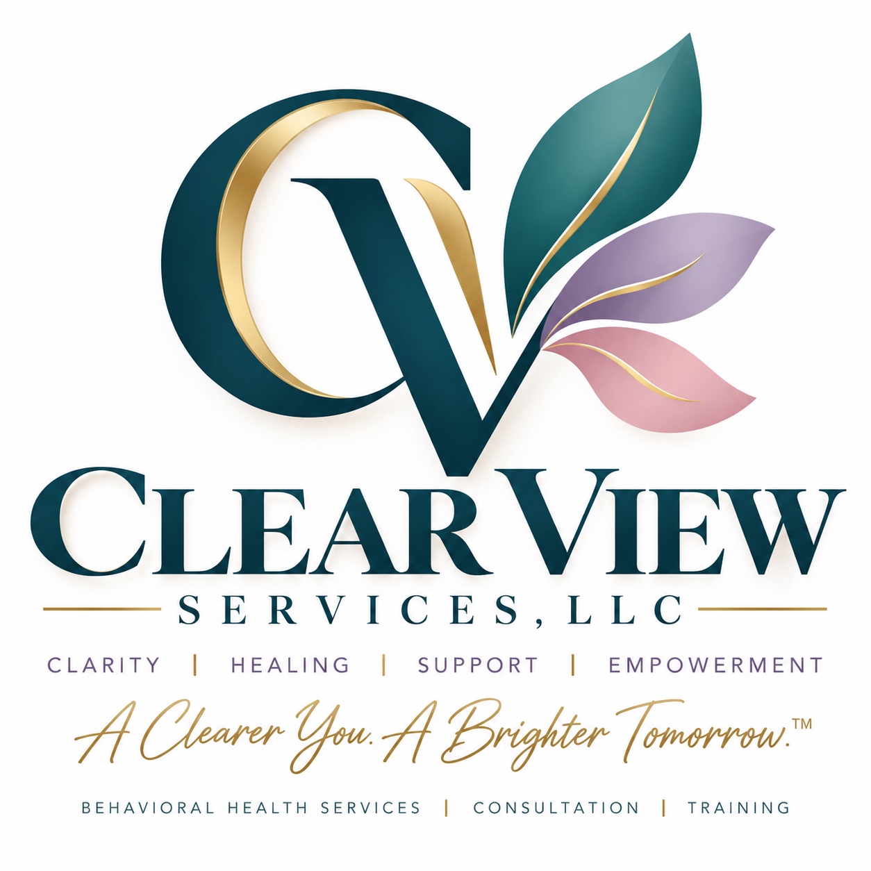 Clear View Services, LLC